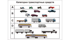 Категория чтобы водить машину